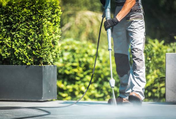 Best House Exterior Washing  in Whitestown, IN